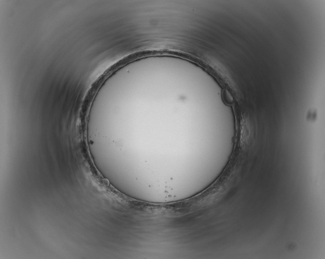 X0000111230876200907161314
