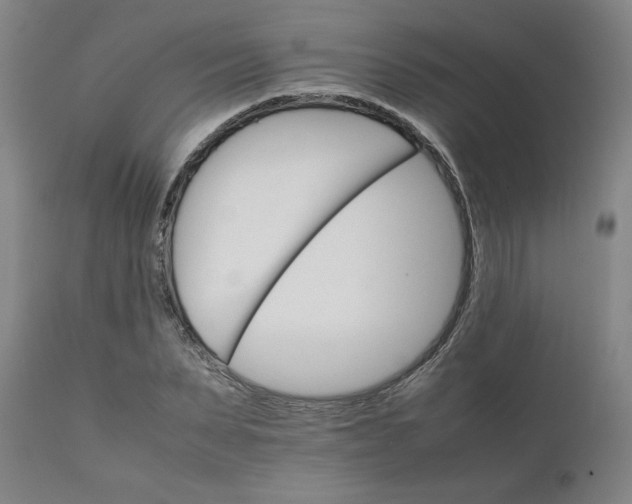 X0000111230879200907161314