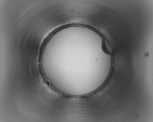X0000111230880200907161314