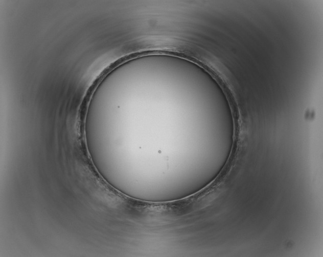 X0000111230883200907161314