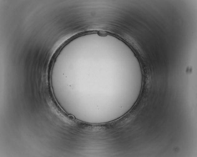 X0000111230884200907161314