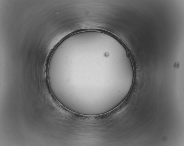X0000111230885200907161314