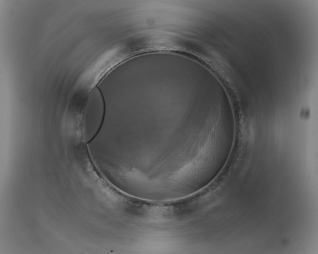 X0000111230889200907161314