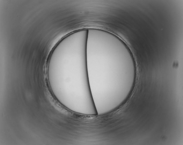 X0000111230891200907161314