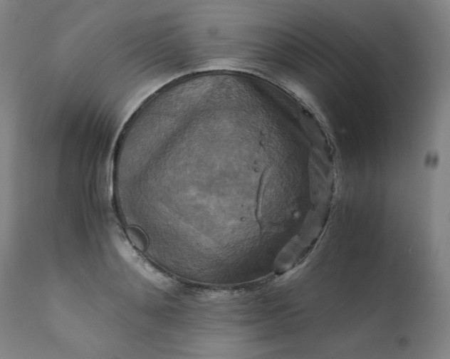 X0000111230892200907161314
