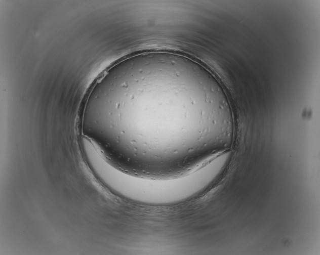 X0000111230893200907161314