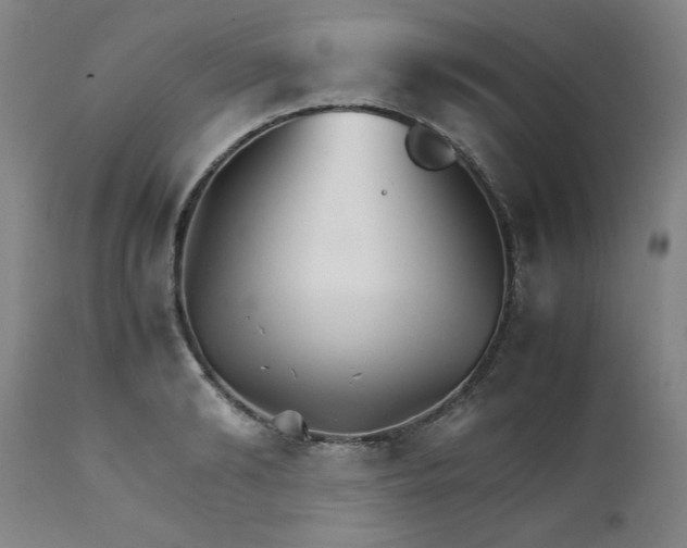 X0000111230894200907161314
