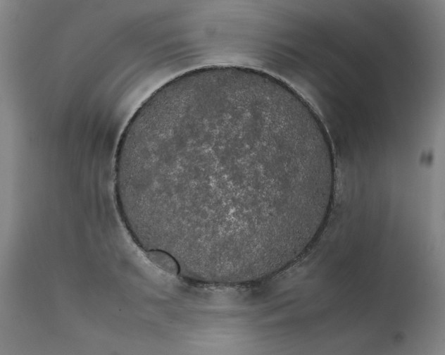 X0000111230895200907161314