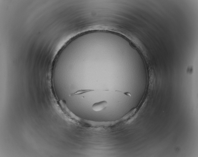 X0000111230896200907161314