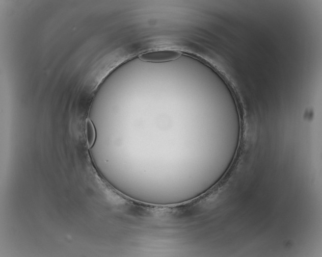 X0000111230897200907161314