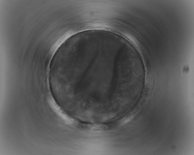 X0000111230899200907161314