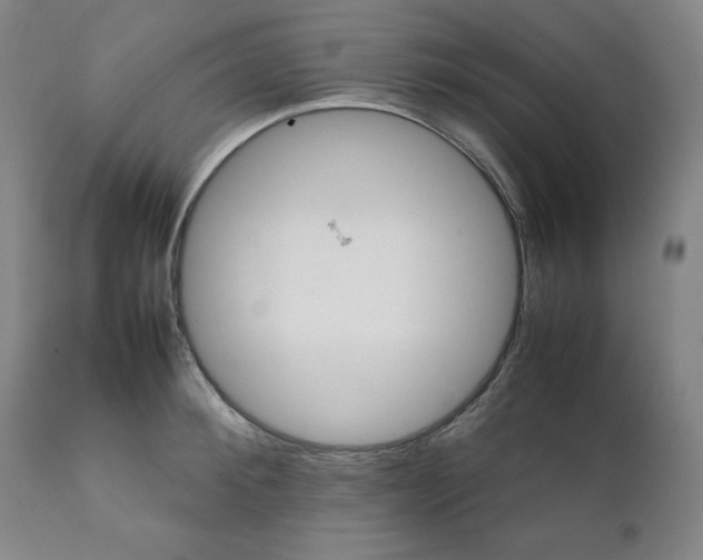 X0000111230900200907161314