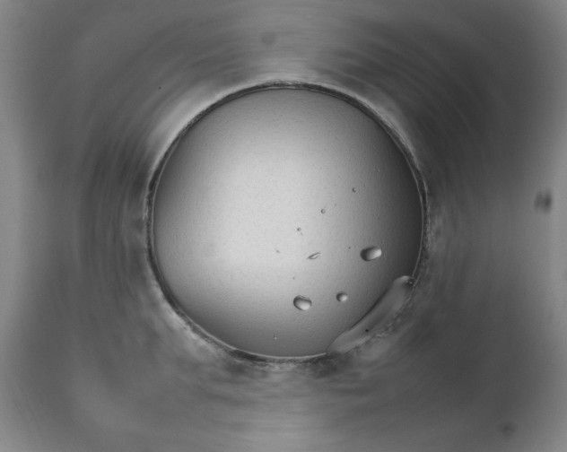 X0000111230903200907161314