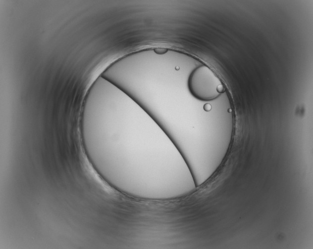 X0000111230906200907161314