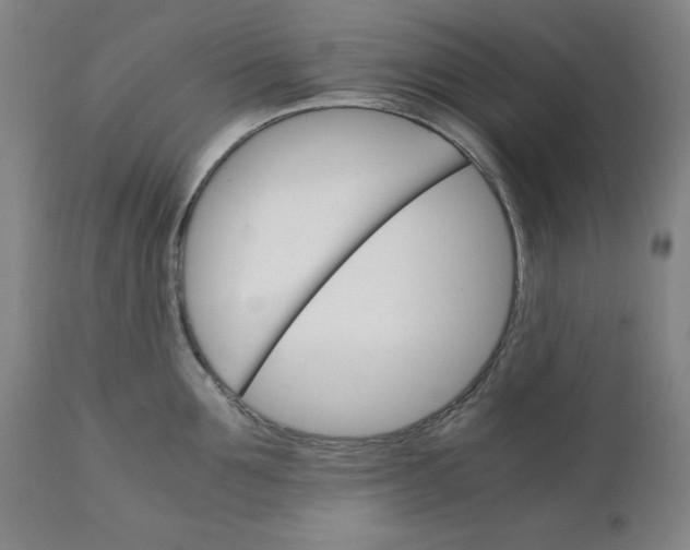 X0000111230907200907161313