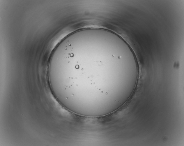 X0000111230909200907161313