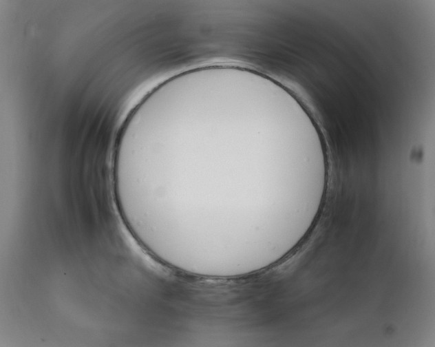 X0000111230910200907161313