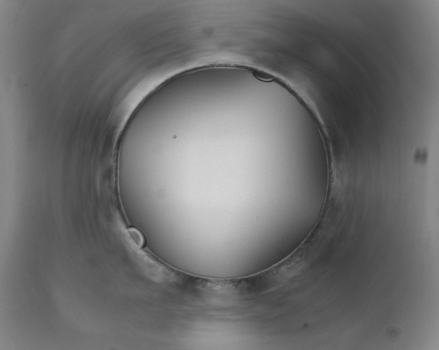 X0000111230911200907161313