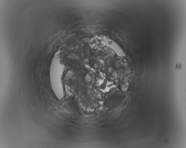 X0000111230913200907161313