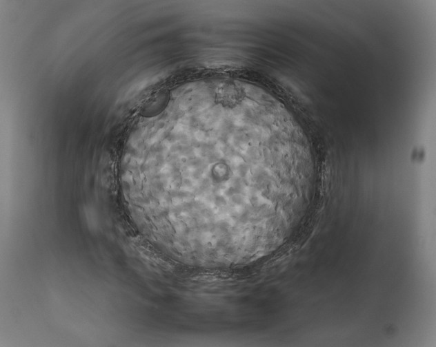 X0000111230917200907161313