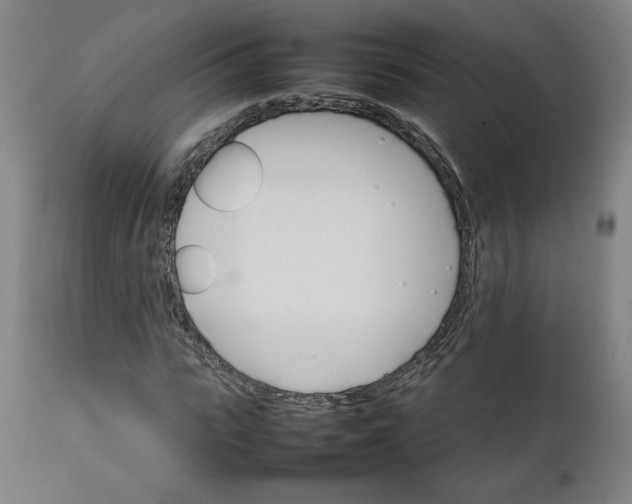 X0000111230919200907161313