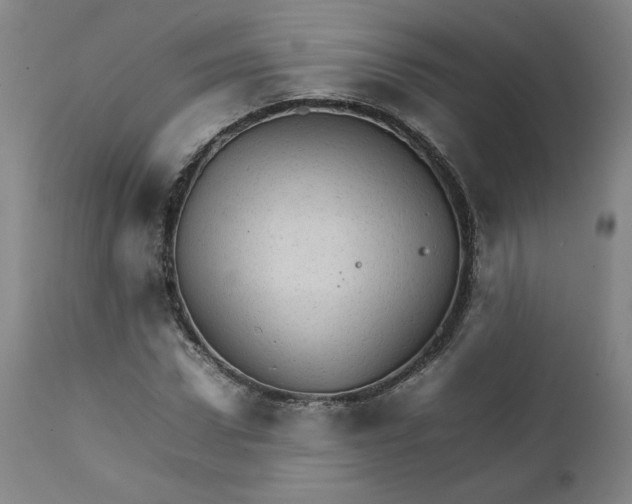 X0000111230922200907161313