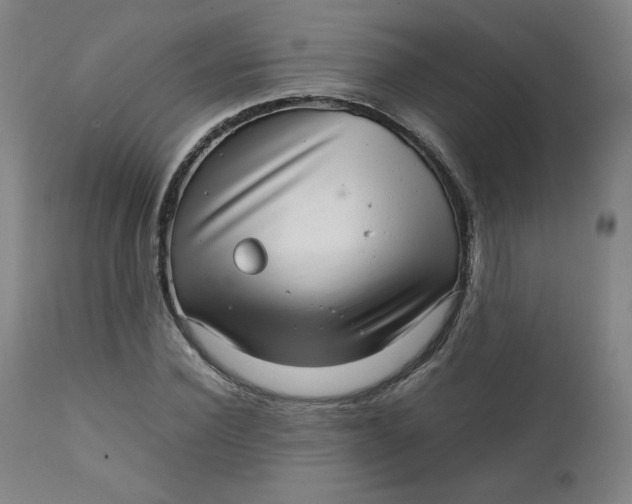 X0000111230924200907161313