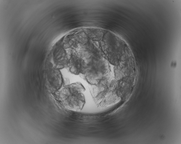 X0000111230925200907161313