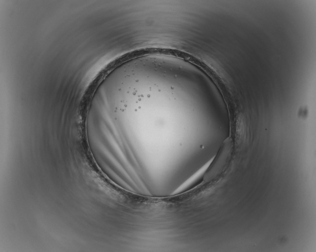 X0000111230926200907161313