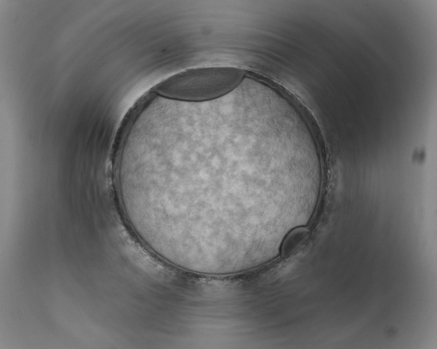 X0000111230928200907161313