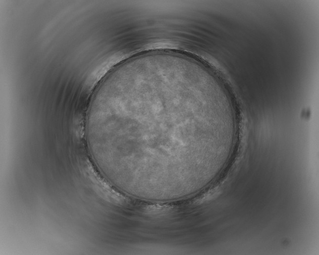 X0000111230929200907161313