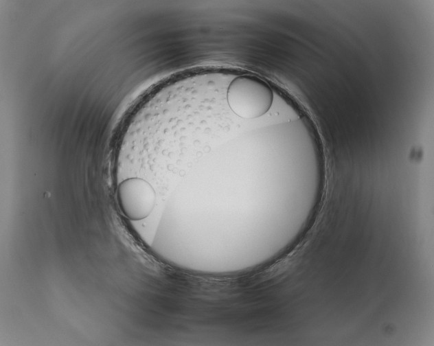X0000111230931200907161313