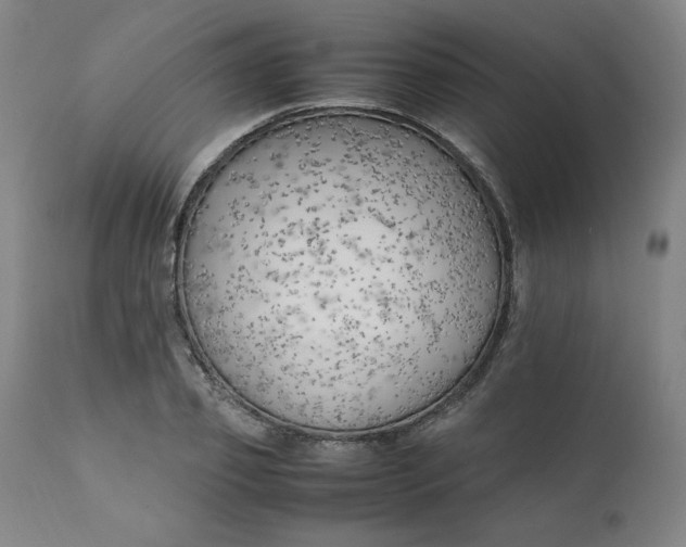 X0000111230933200907161313
