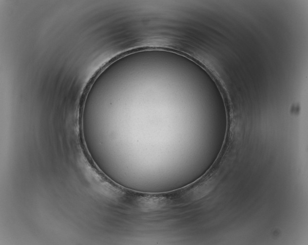 X0000111230939200907161313
