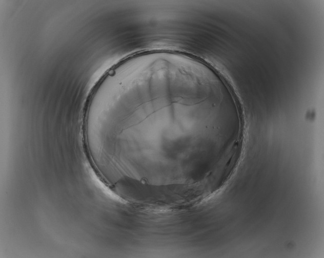 X0000111230941200907161313