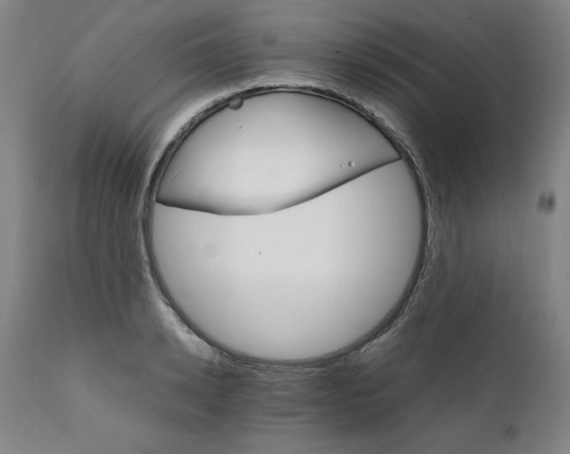 X0000111230942200907161313