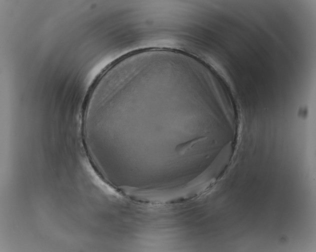 X0000111230944200907161313