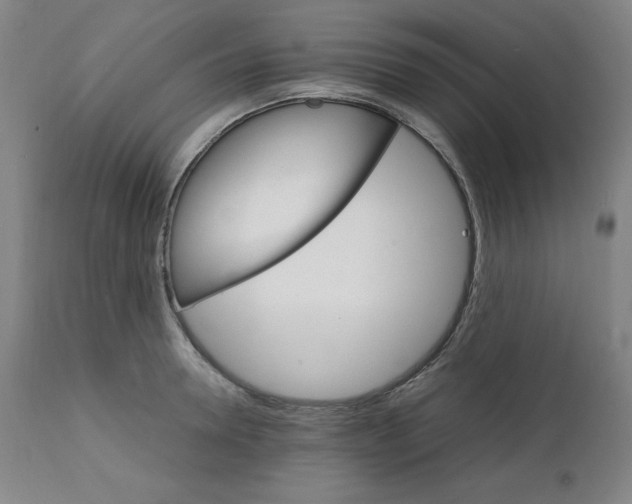 X0000111230946200907161313