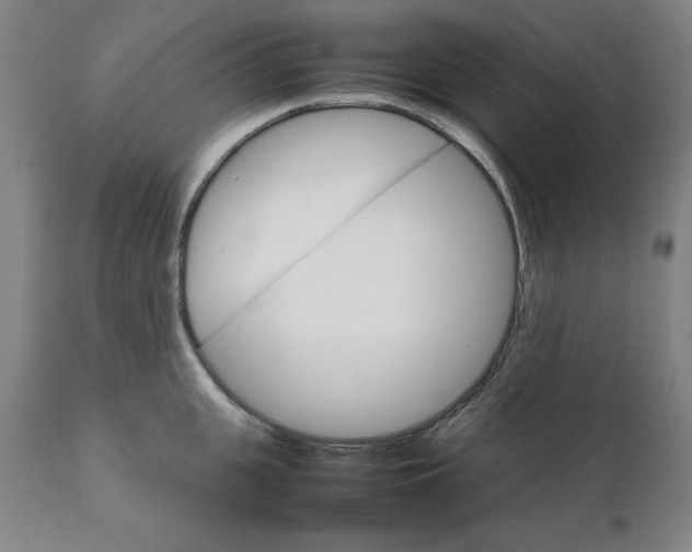 X0000111230951200907161313