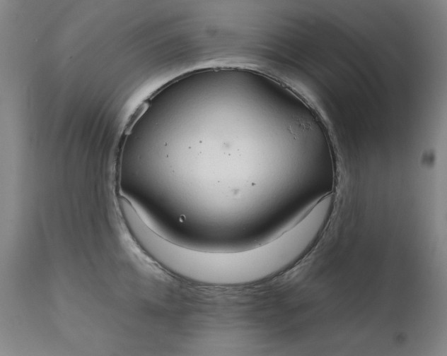 X0000111230952200907161313