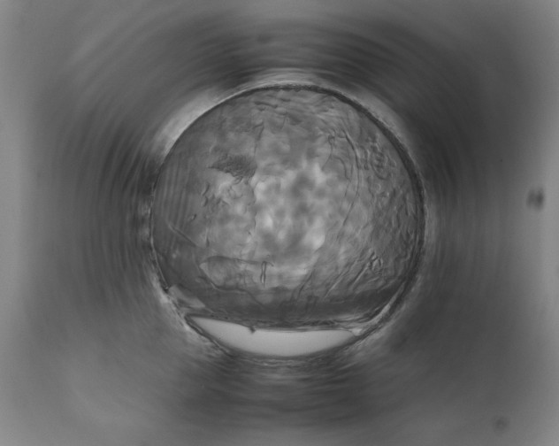 X0000111230953200907161313