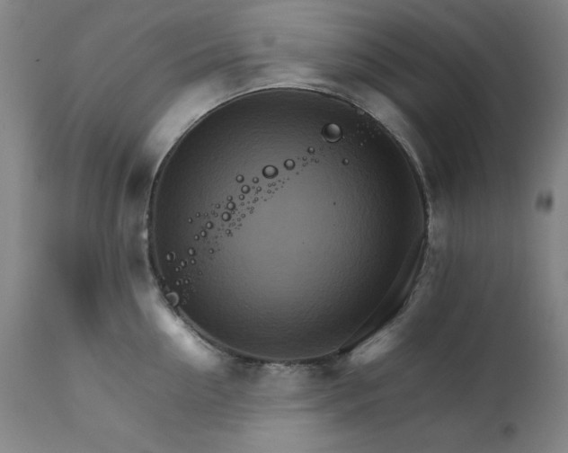 X0000111230954200907161313