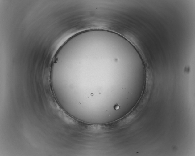 X0000111230956200907161313