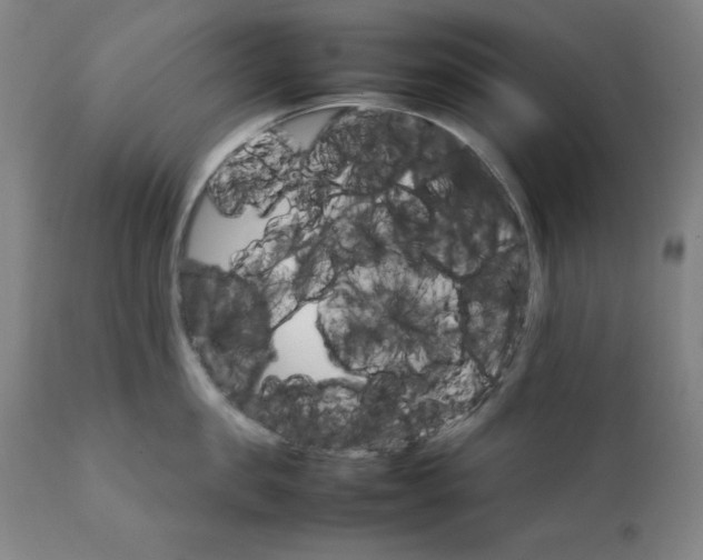 X0000111230957200907161313