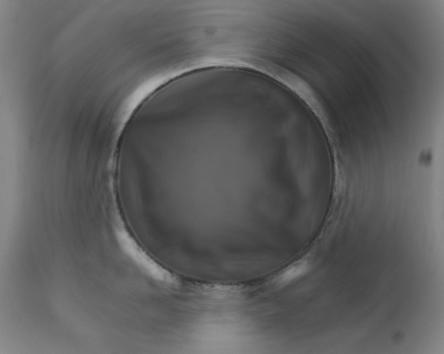 X0000111230958200907161313