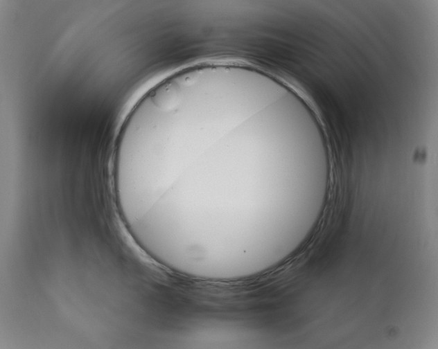 X0000111230959200907161313