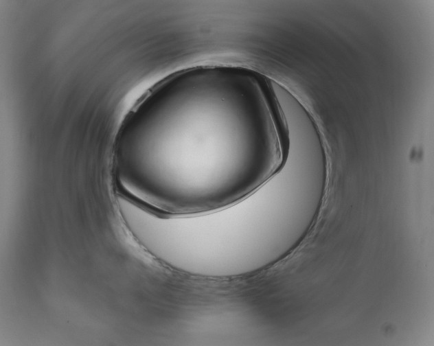 X0000111230960200907161313
