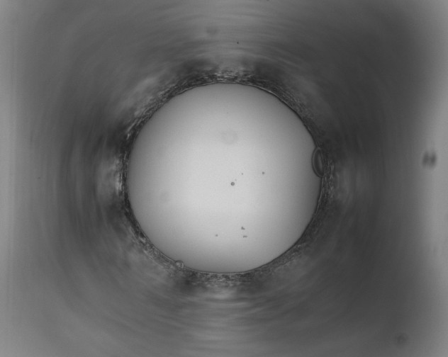 X0000111230962200907161313