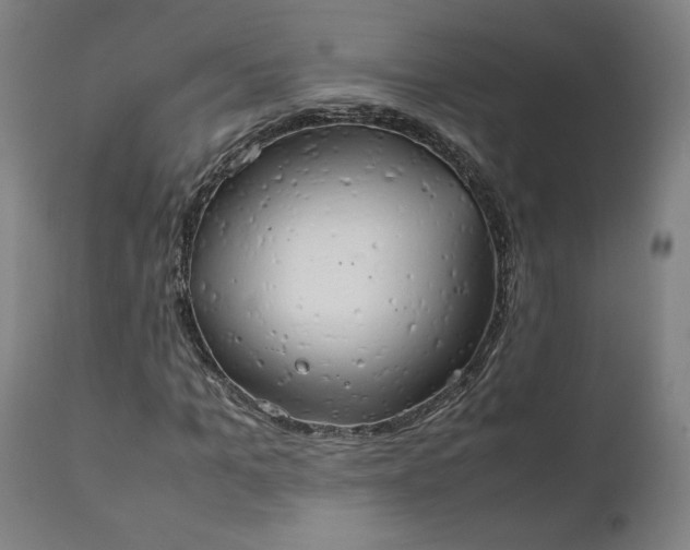 X0000111230965200907161313