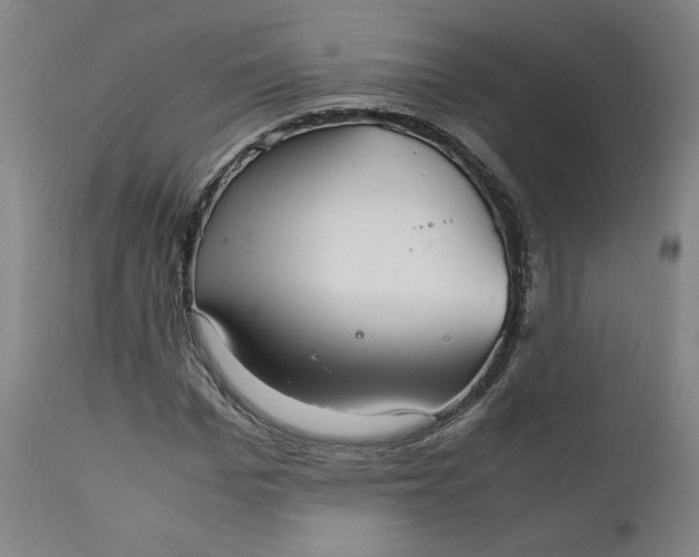X0000111230969200907161313
